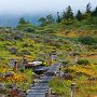 小屋から少しあるくと、天狗の露地というところにつく。下草の紅葉がキレイ。